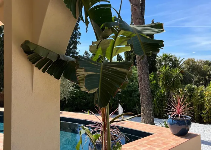 Maison D'orange - La Pinede *